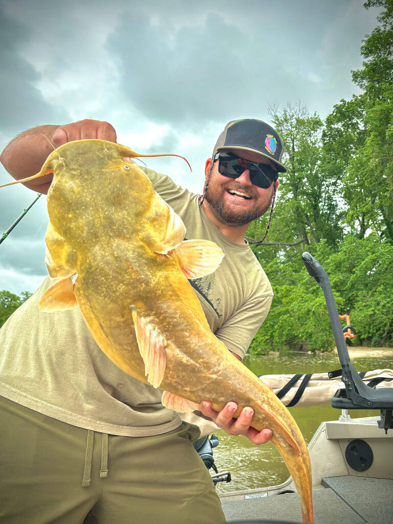 Big Fish 3