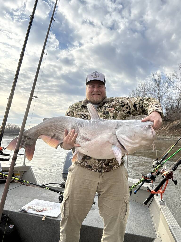 Big Fish